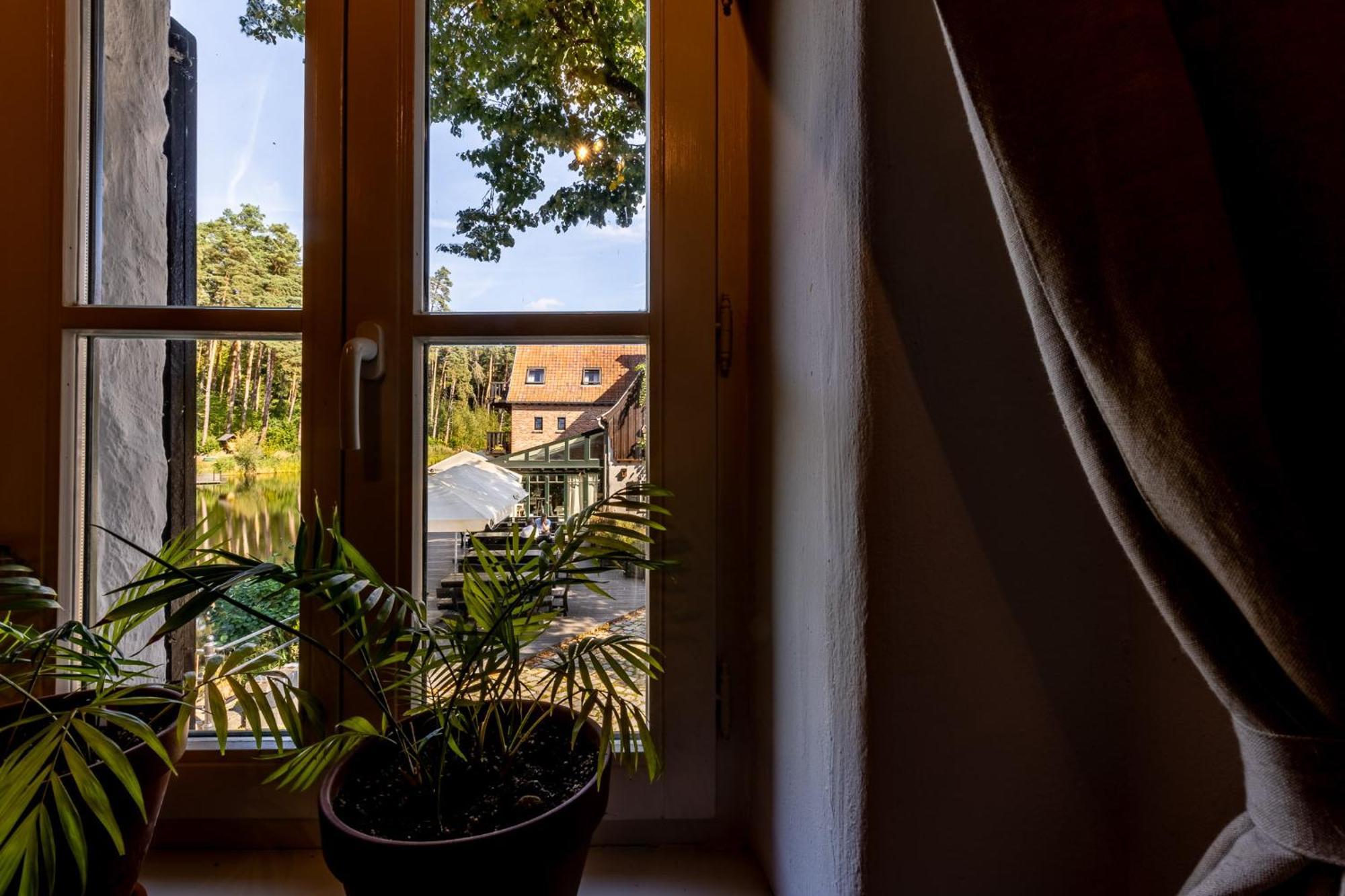 Bed and Breakfast Gosciniec Pod Zajacem Oleśnica Esterno foto